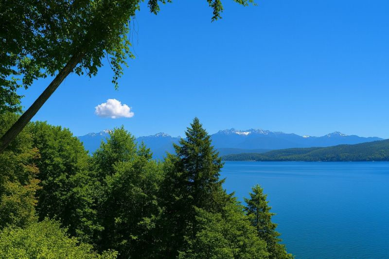 Best Bathtub Installation pros in Olympia, WA